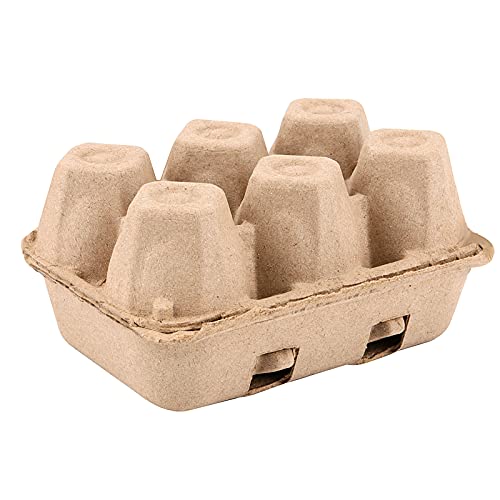 40 Pack 6 Count Egg Cartons (40 Count)