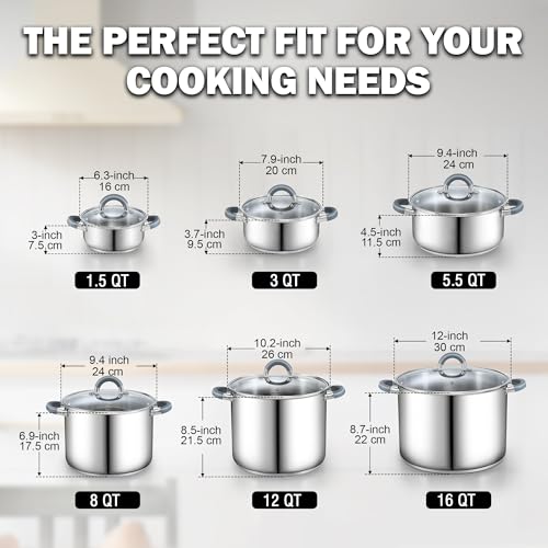 Basics 12 Quart Stainless Steel Stock Pot with Lid