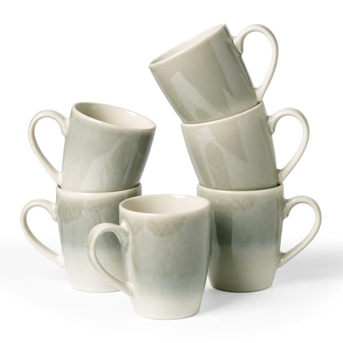 Coffee Mugs Set (6 Count)