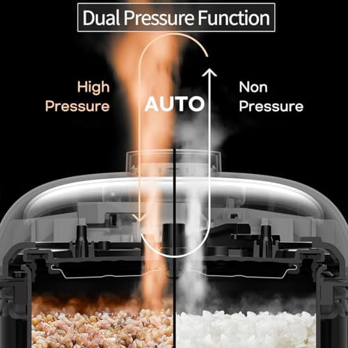 10 Cup Premium IH Pressure Rice Cooker & Multi