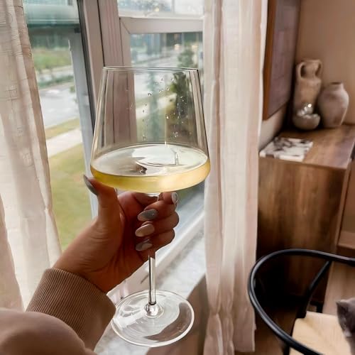Wine Glasses Set 6 (6 Count)