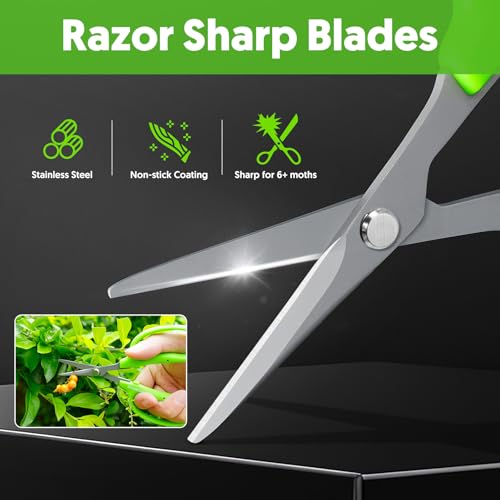 Garden Scissors