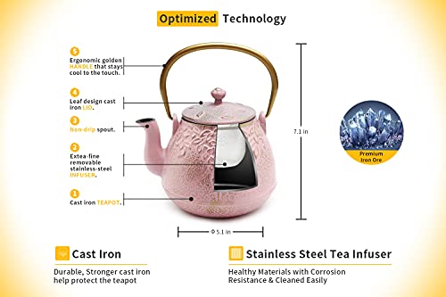 Japanese Cast Iron Teapot with Infuser
