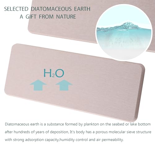 2Pcs Stone Soap Trays Water Absorbing Diatomite Coaster (2 Count)