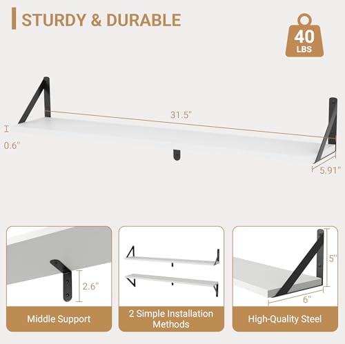 Floating Shelves for Wall