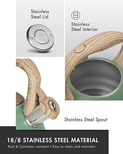 POLIVIAR Tea Kettle