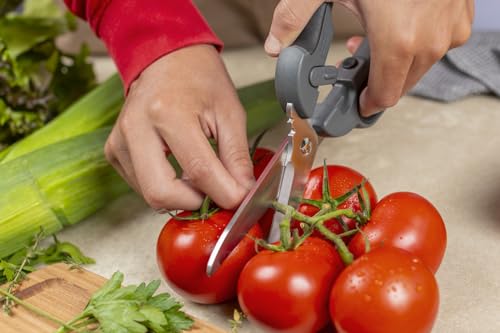 Pro Kitchen Shears Plus
