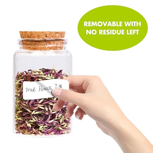 2000 Removable Freezer Labels
