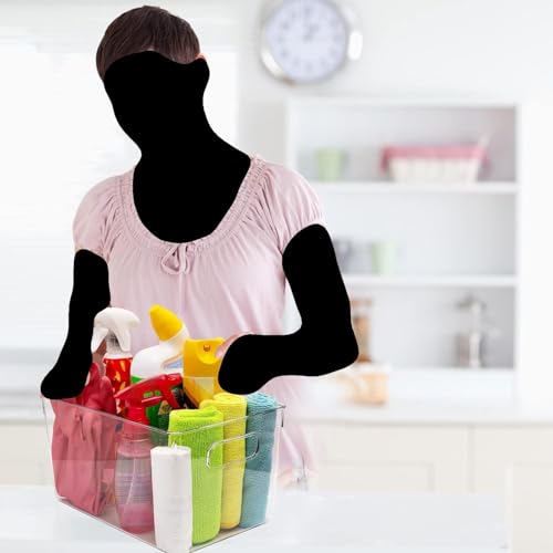 Clear Plastic Stackable Storage Bins with Lids (8 Count)