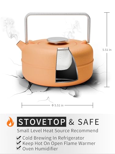 Teapot with Removable Infuser