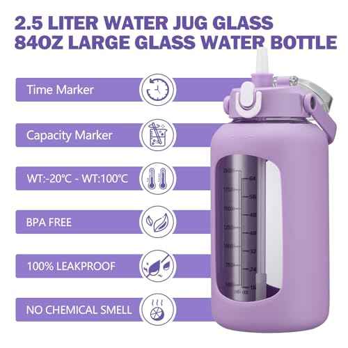 84oz Glass Water Bottle with Straw