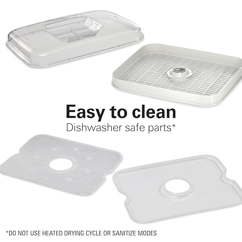 Digital Food Dehydrator for Fruit