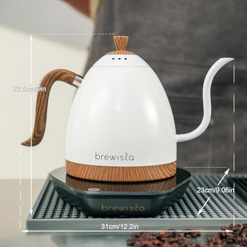 Artisan Electric Gooseneck Kettle