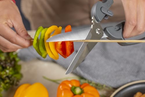 Pro Kitchen Shears Plus