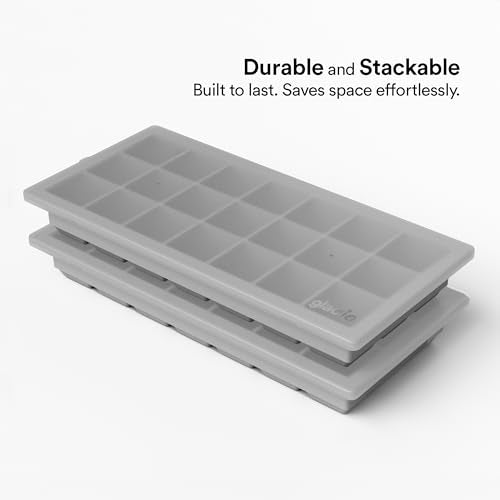 Ice Cube Tray with Lids (2 Count)