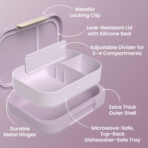 Modern Adult Bento Lunch Box with 3