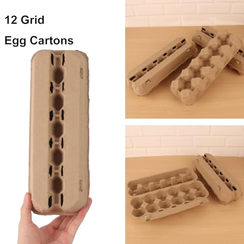 25 Pack Egg Cartons Bulk (25 Count)