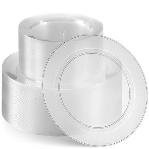 100 Elegant Clear Plastic Plates Set (100 Count)