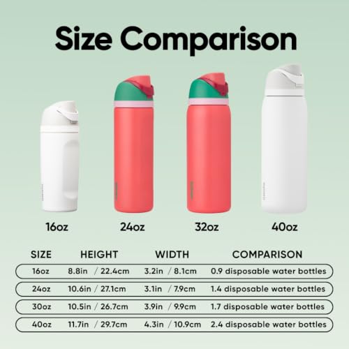 FreeSip Stainless Steel Water Bottle 32 oz Strawberry Fields
