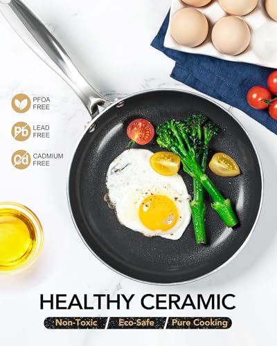 10 Inch Nonstick Frying Pan with Lid