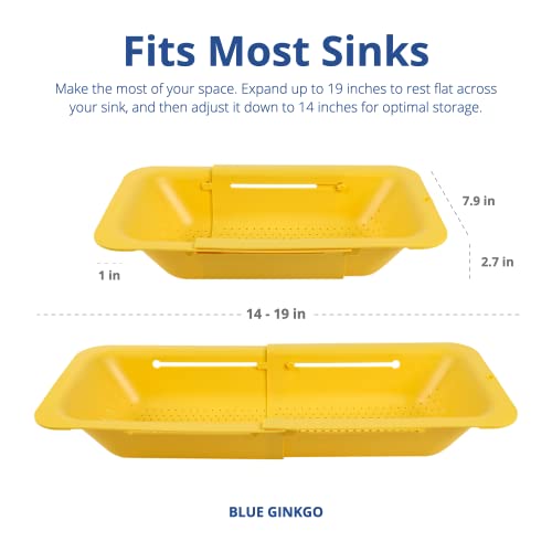 Over Sink Colander