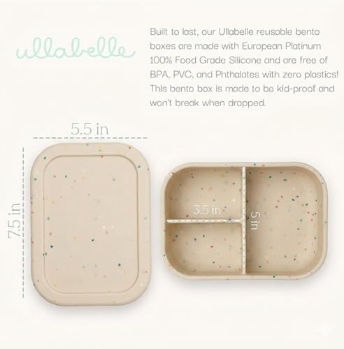 Kids Bento Box