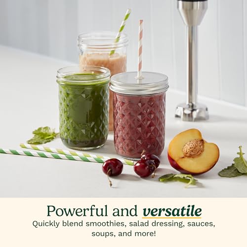 CSB 179 Smart Stick Variable Speed Hand Blender