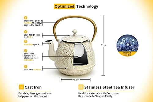 Cast Iron Tea Kettle