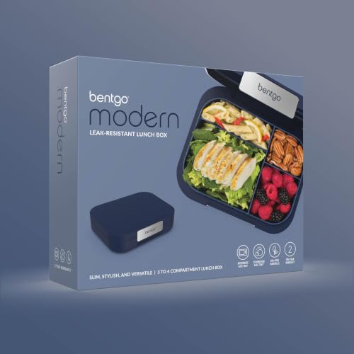 Modern Adult Bento Lunch Box with 3