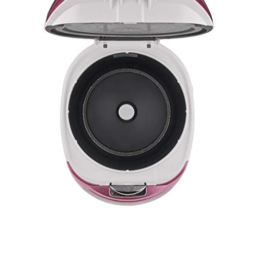 Micom Fuzzy Logic Rice Cooker