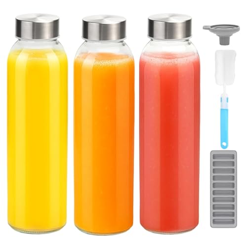 18 oz Glass Water Bottles with Stainless Steel Lids (3 Count)