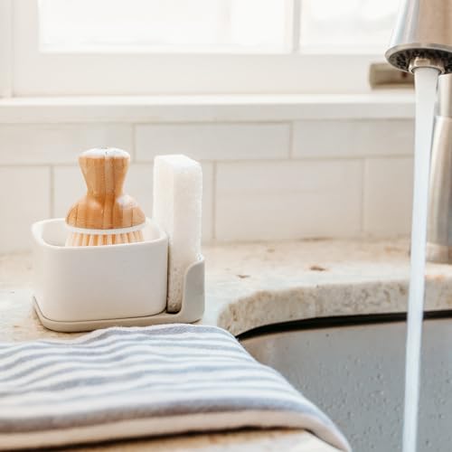 Bubble Up Dish Brush Set for Kitchen