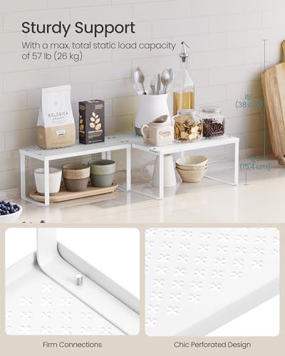 Set of 2 Metal Spice Racks (2 Count)