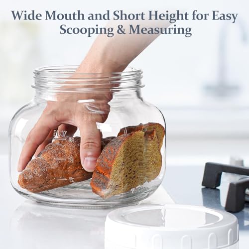 0.6Gal Airtight Glass Jar with Lid (2 Count)