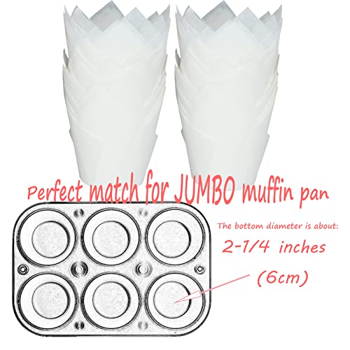 Large size White Tulip Baking Cups 2 (130 Count)