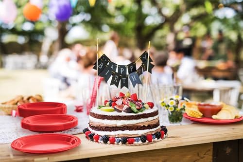 Sturdy Red Plastic Plates 9" Party Plates 100 Pcs (100 Count)