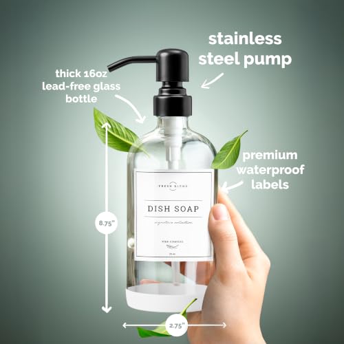 Clear Glass Soap Dispenser (2 Count)