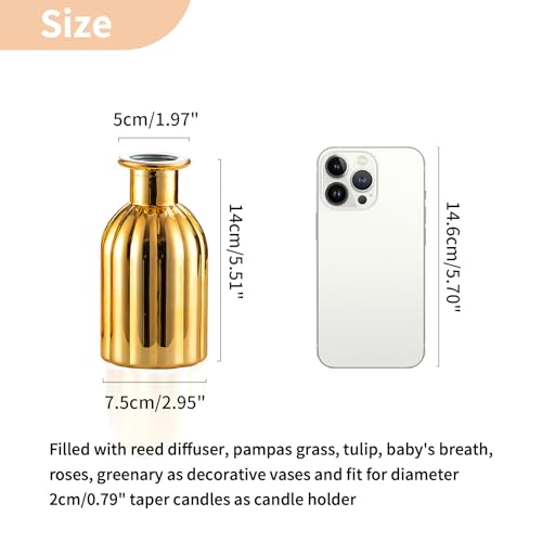 Gold Glass Bud Vases (6 Count)