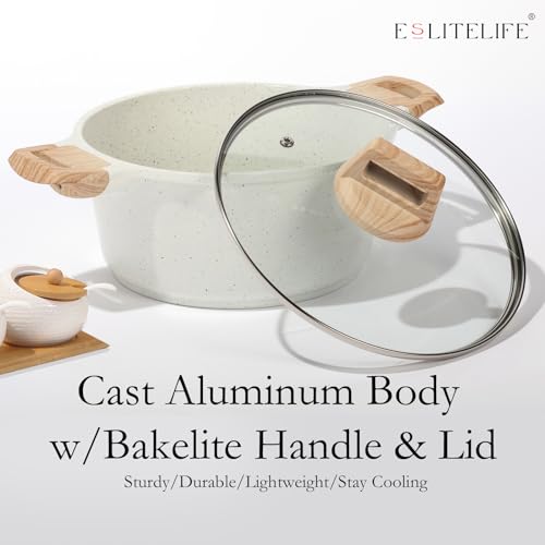 Nonstick Stock Pot with Lid