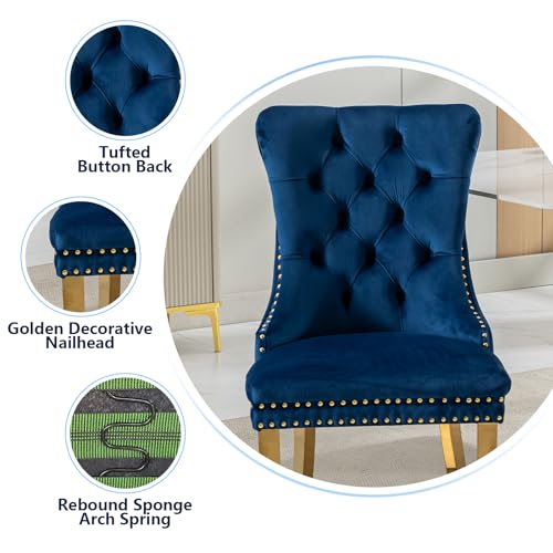 Blue Velvet Dining Chairs Set of 4 (4 Count)