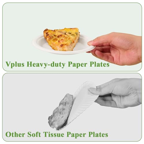 125 Pack Compostable Bagasse Paper Plates 6 inch (125 Count)