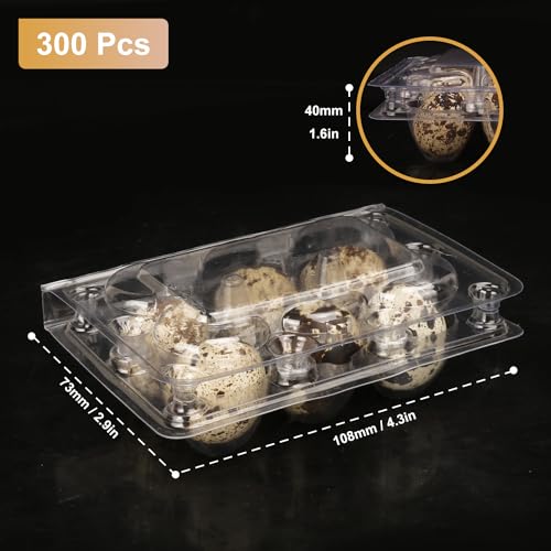 300 Pack Quail Egg Cartons (300 Count)