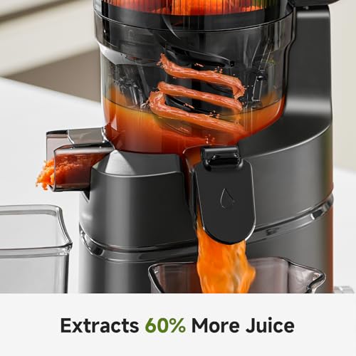 Cold Press Juicer