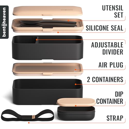 Bento Box Adult