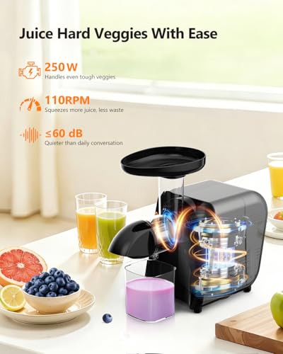 Slow Juicer with Reverse Function