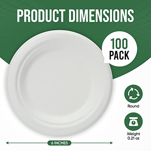 Small Disposable Paper Plate 6 inch (100 Count)