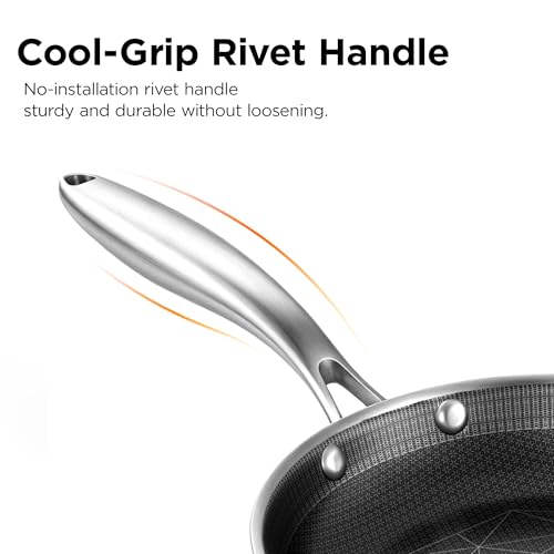 12 Inch Stainless Steel Pan