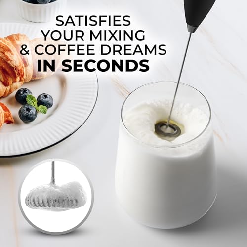 Milk Frother Handheld