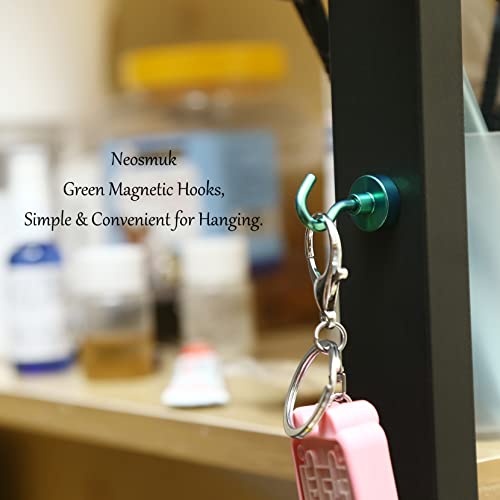 Magnetic Hooks (15 Count)