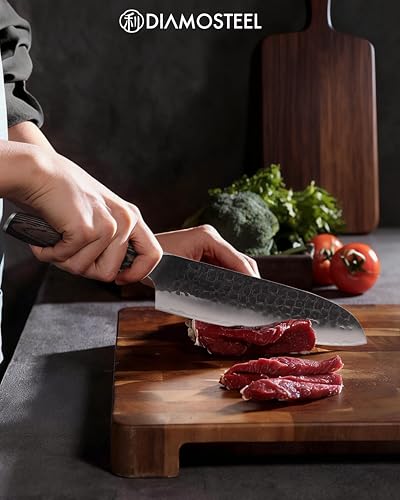 Japanese Santoku Knife
